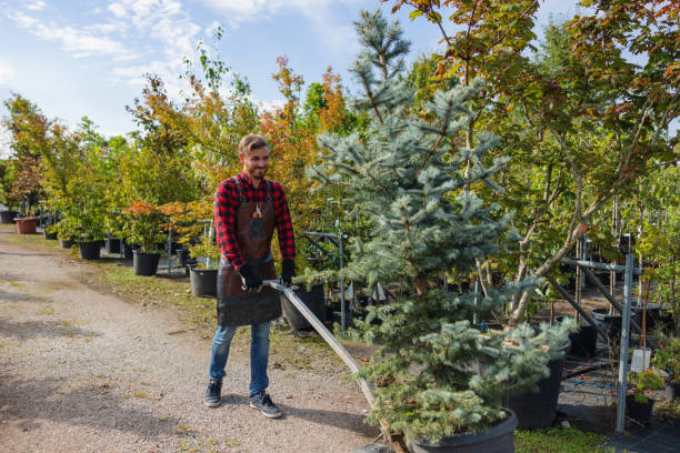 Best Tree Trimming Near Me  in Grover, WY